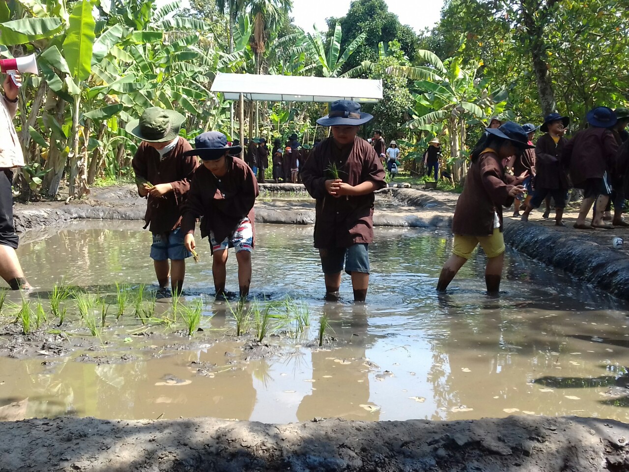 1df441671aa2f8fca1b3