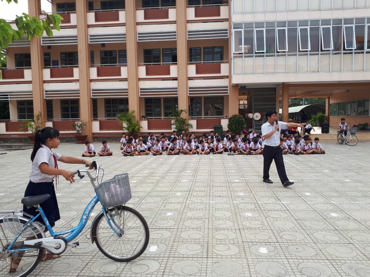 8e17ccedd644341a6d55