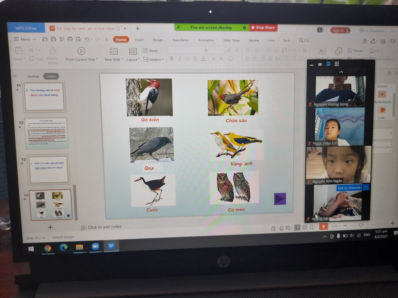 56408c269a916acf3380