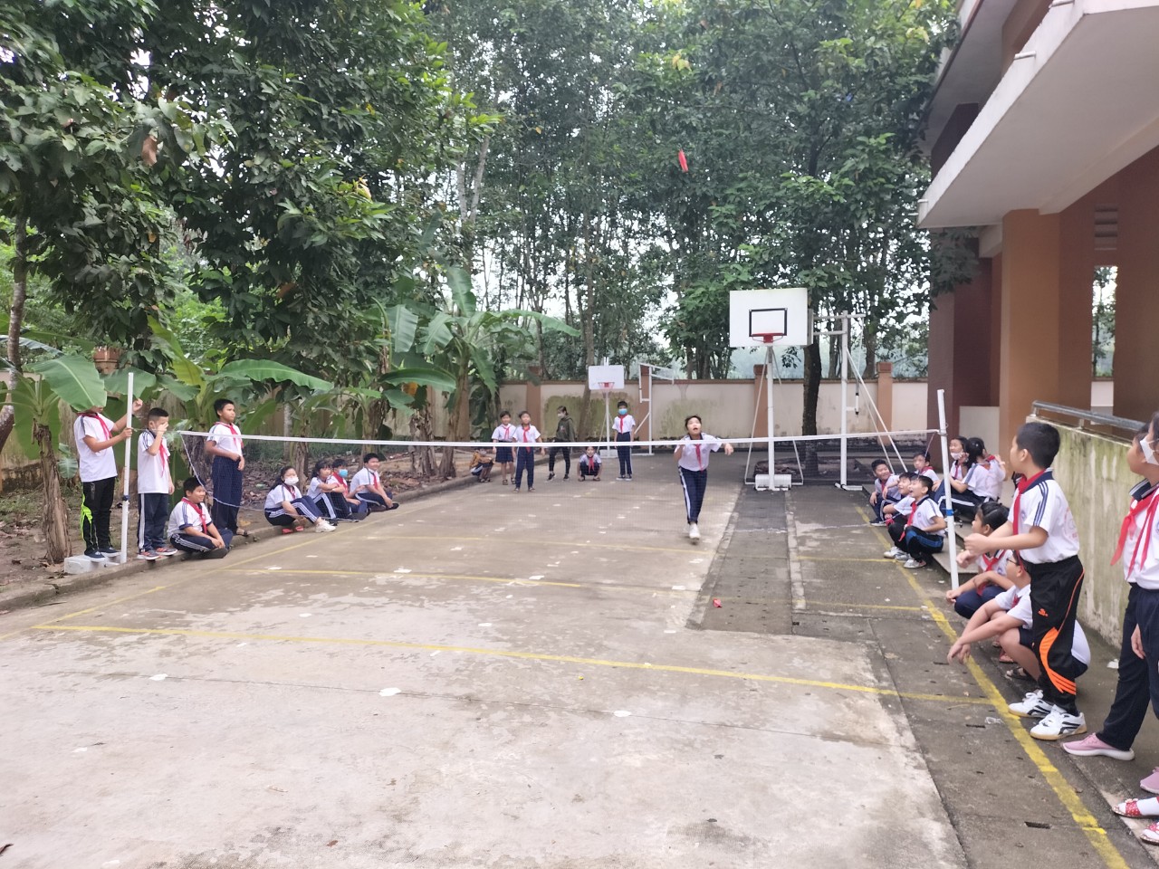 310331fc4e778829d166