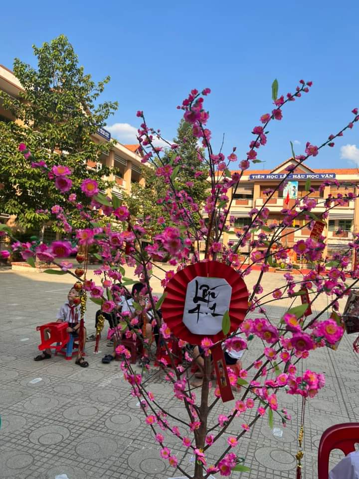 cc5c81cf14c6cf9896d7