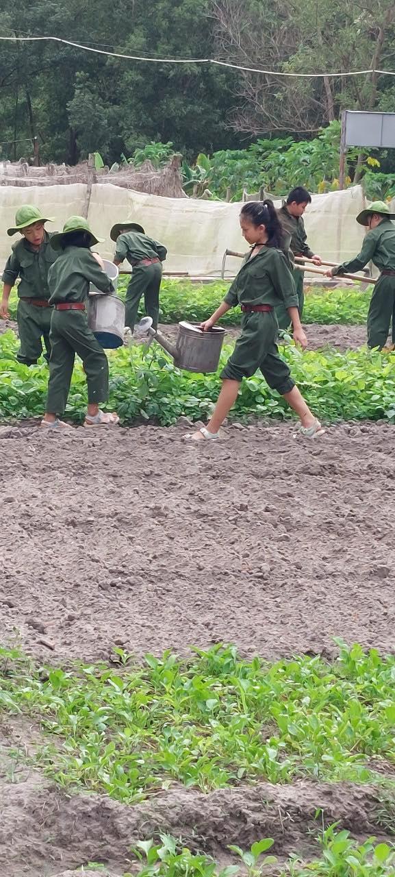 411912781_338116165774247_39852933445826146_n