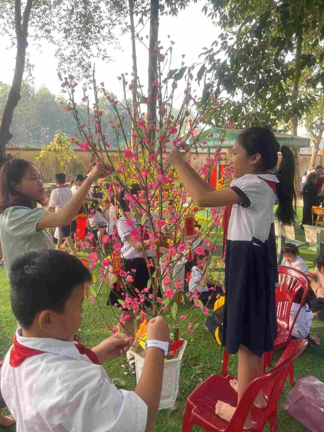 487988880_1187546343076231_1130954579284328264_n